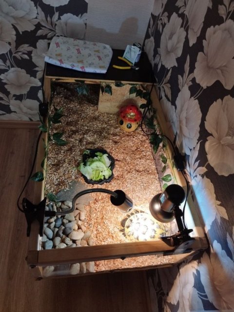 photo_2025-04-04_23-28-58 (2).jpg