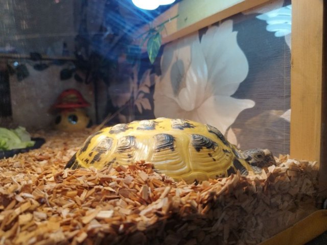 photo_2025-04-04_23-28-58 (3).jpg