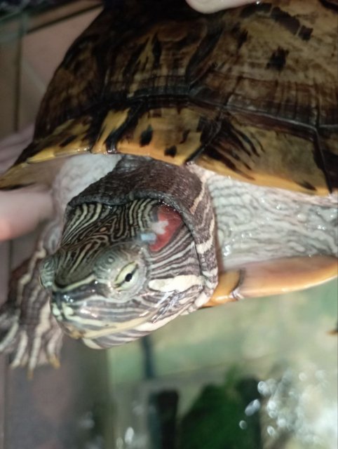 photo_2025-04-17_17-49-12 (2).jpg