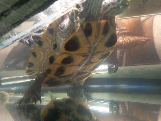 photo_2025-04-17_17-49-12 (3).jpg