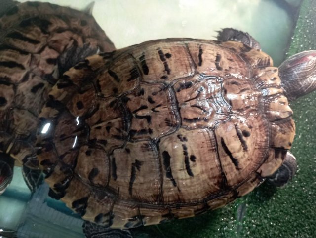 photo_2025-04-17_17-49-12 (4).jpg