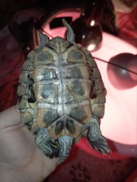 photo_2025-05-08_11-34-23 (2).jpg