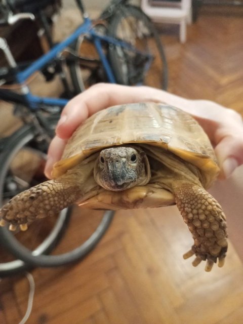 photo_2025-06-10_12-56-42 (2).jpg