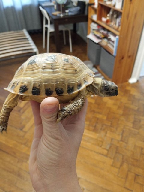 photo_2025-06-10_12-56-42 (3).jpg