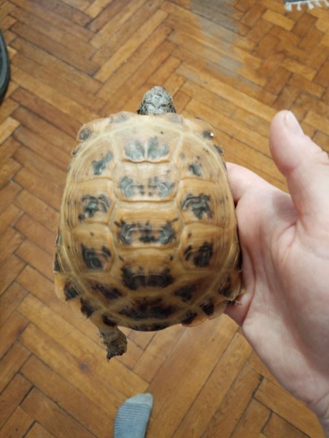 photo_2025-06-10_12-56-42 (4).jpg