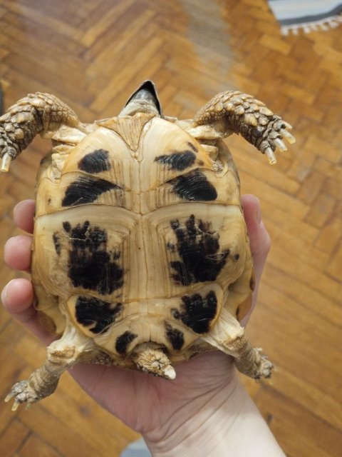 photo_2025-06-10_12-56-42 (5).jpg