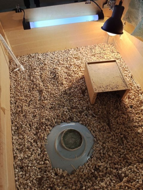 photo_2025-06-10_12-56-42 (6).jpg