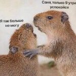 ElenaGreen_Shade