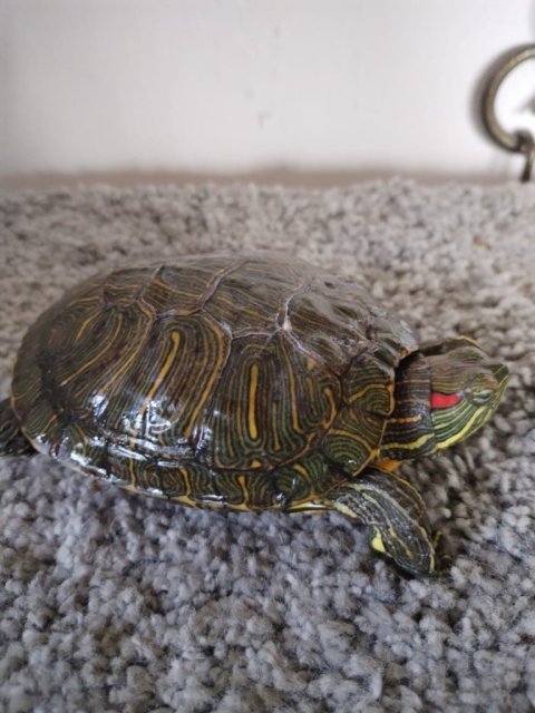 WhatsApp Image 2025-07-11 at 19.21.24.jpeg