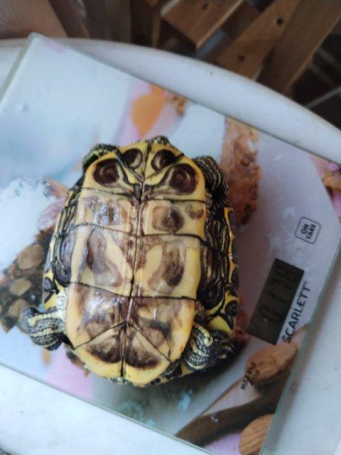 WhatsApp Image 2025-07-11 at 19.21.32.jpeg