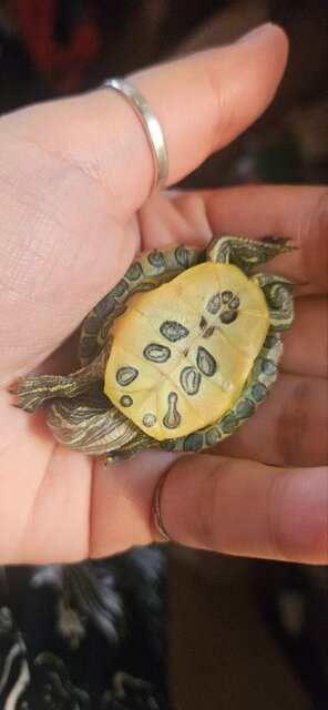 photo_2025-07-18_15-00-45 (2).jpg