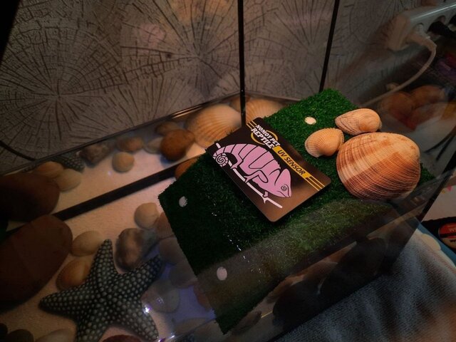 Индикатор УВБ.jpg