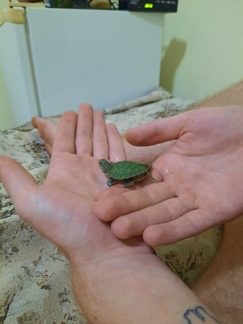 Это в день покупки.jpg