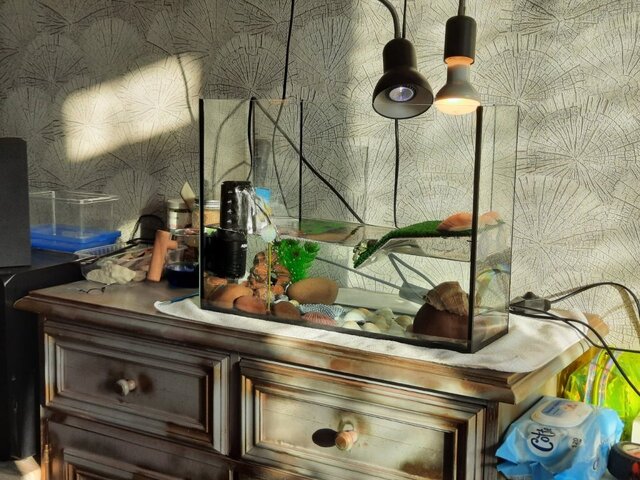 Вот аквариум.jpg