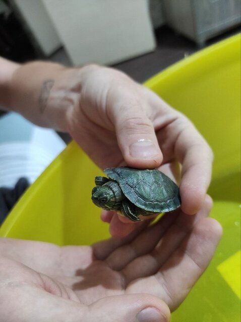 Глазки и шея 4.jpg