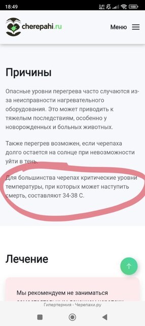 Screenshot_2025-08-05-18-49-21-580_com.yandex.browser-edit.jpg