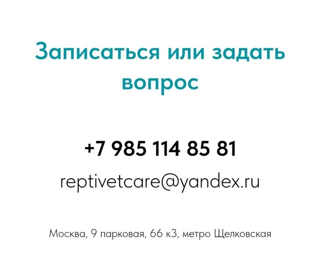 Screenshot_2025-08-10-12-06-16-494_com.yandex.browser-edit.jpg