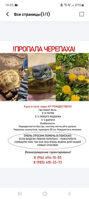 Screenshot_20250809_142646_One Read.jpg