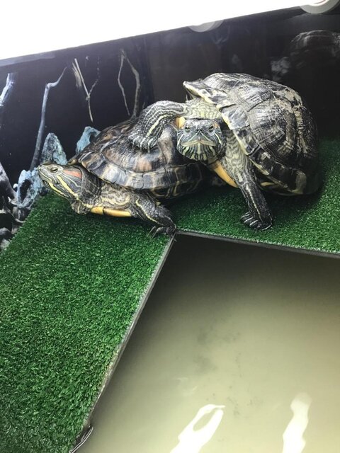 WhatsApp Image 2025-011111-29 at 15.50.00.jpeg