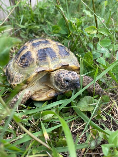 WhatsApp Image 2025-08-13 at 20.49.09.jpeg