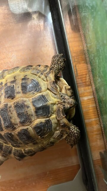 WhatsApp Image 2025-08-13 at 20.54.53.jpeg