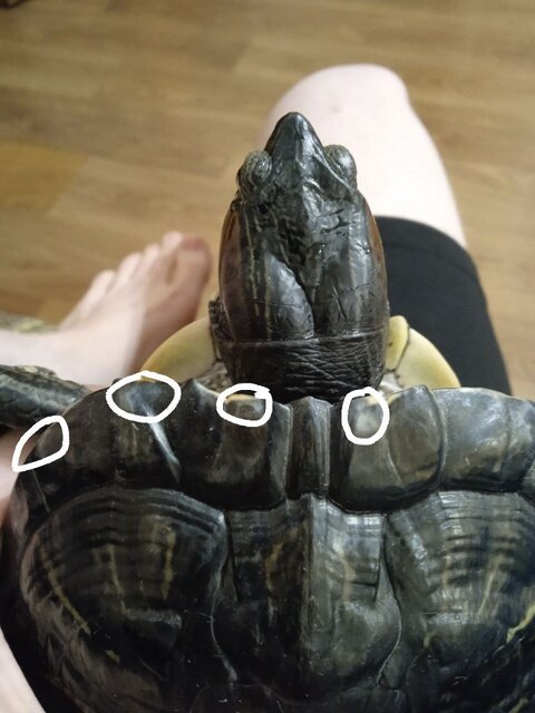 photo_2025-08-25_21-21-37 (2).jpg