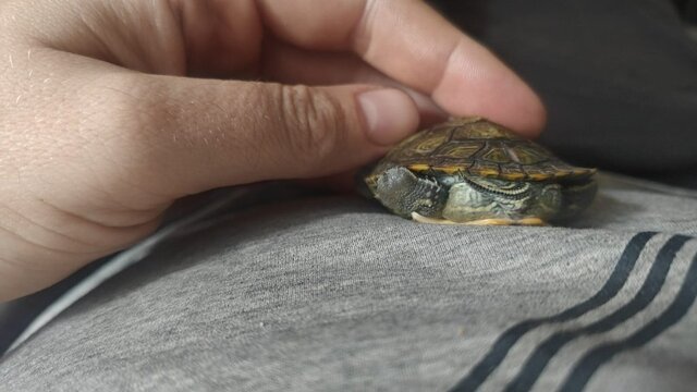 IMG-20250911-WA0008 (1).jpg