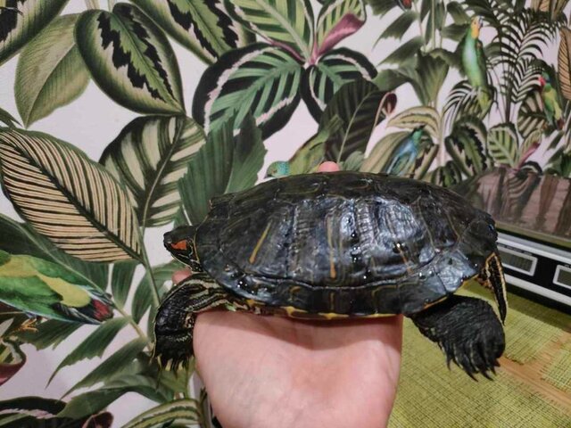 IMG20250913011810 (1).jpg