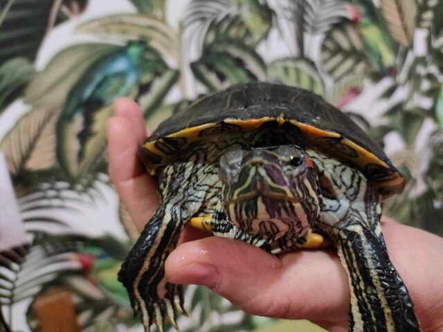 IMG20250913011817 (1).jpg