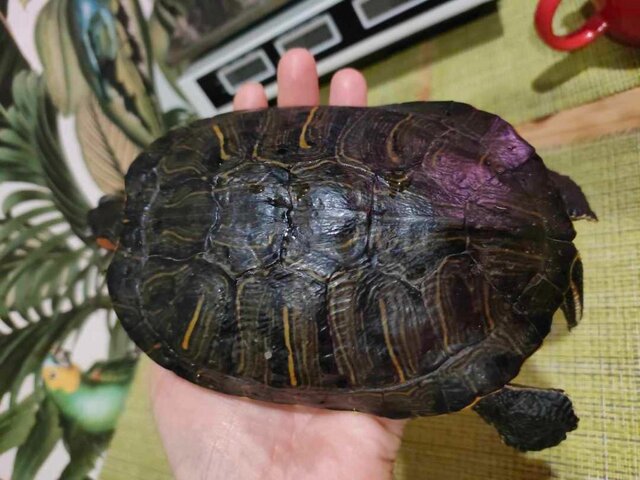 IMG20250913011914 (1).jpg