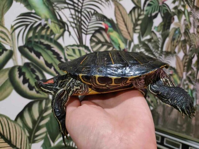 IMG20250913011919 (1).jpg