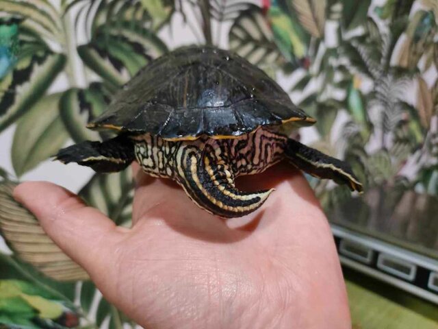 IMG20250913011936 (1).jpg