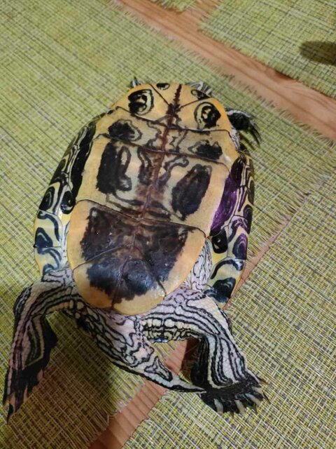 IMG20250913012101 (1).jpg