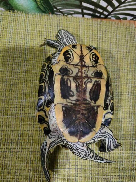 IMG20250913012142 (1).jpg