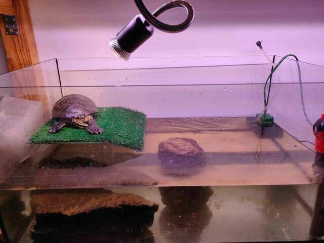 IMG20250913012631 (1).jpg