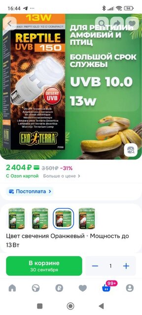 Screenshot_2025-09-23-16-44-10-691_ru_ozon_app.android.thumb.jpg.80580c96251406389ad8c2adb08b99ca.jpg