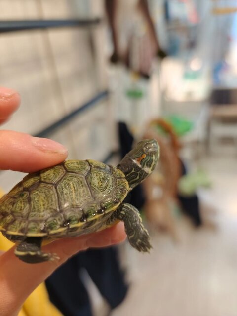 Изображение WhatsApp 2025-09-03 в 13.18.49_1a810883.jpg