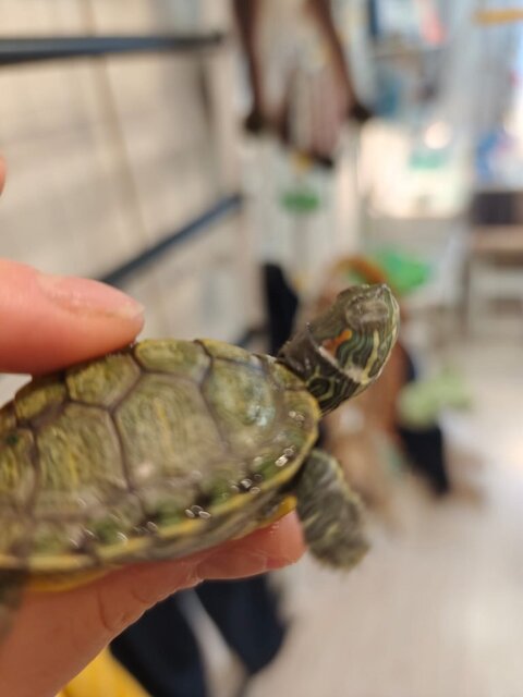 Изображение WhatsApp 2025-09-03 в 13.18.49_3965d723.jpg