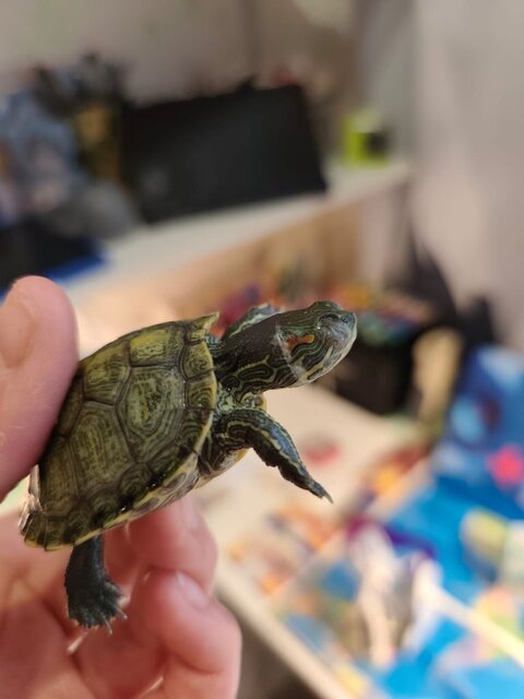 Изображение WhatsApp 2025-09-03 в 13.18.49_b58423ae.jpg