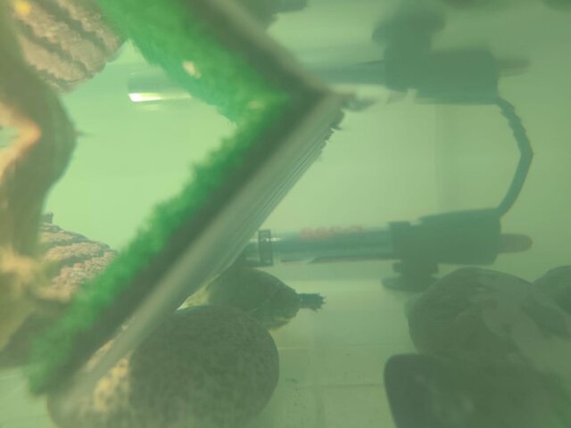 Изображение WhatsApp 2025-09-03 в 14.10.18_09352b22.jpg