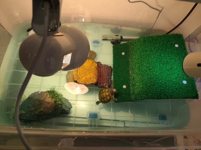 Изображение WhatsApp 2025-09-03 в 14.10.18_09fb4a6b.jpg