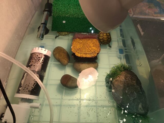 Изображение WhatsApp 2025-09-03 в 14.10.18_3317299a.jpg