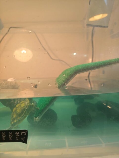 Изображение WhatsApp 2025-09-03 в 14.10.18_76c5b80e.jpg