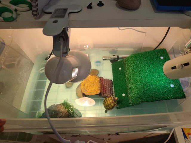 Изображение WhatsApp 2025-09-03 в 14.10.18_a2a9c121.jpg