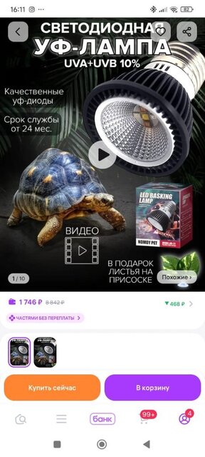 Изображение WhatsApp 2025-09-03 в 16.11.18_b75ddfc0.jpg