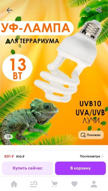 Изображение WhatsApp 2025-09-03 в 16.15.05_93b85ace.jpg
