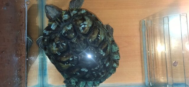 WhatsApp Image 2025-09-03 at 14.03.35 (2).jpeg