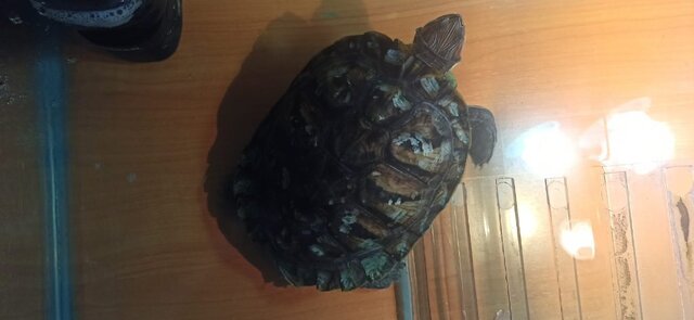 WhatsApp Image 2025-09-03 at 14.03.35.jpeg