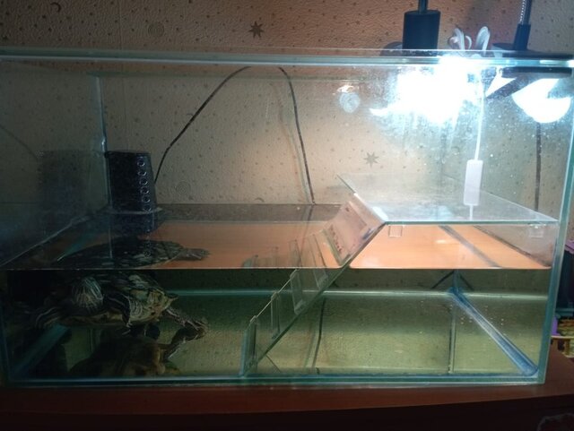 WhatsApp Image 2025-09-04 at 07.59.28.jpeg