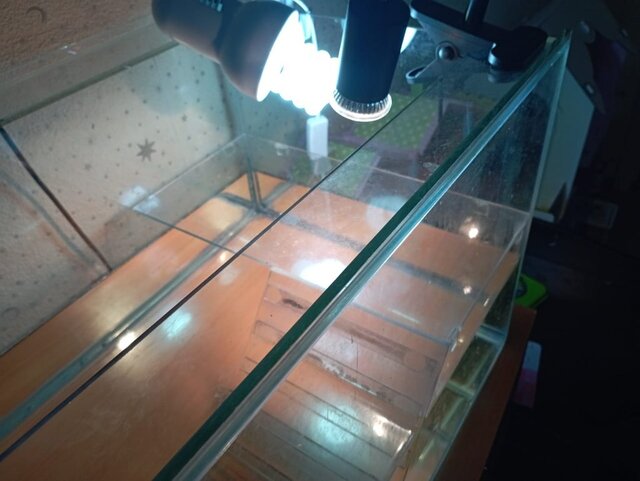 WhatsApp Image 2025-09-04 at 07.59.29.jpeg